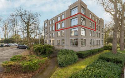 Oude Graafs. 243