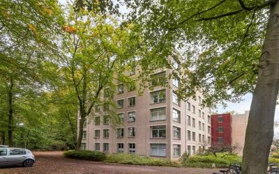 Oude Graafs. 253