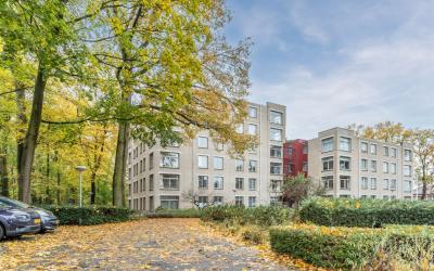 Oude Graafs. 273