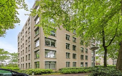Oude Graafs. 275