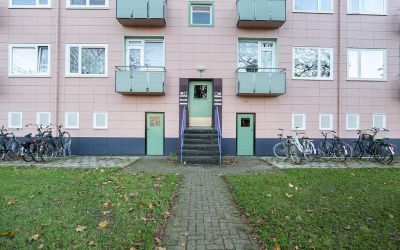 Ligusterstr. 55