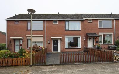 Goudenregen. 27