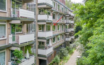 Stollenberg. 218