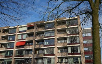 Oude Kleefs. 203