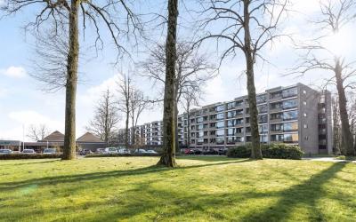 Oude Kleefs. 275