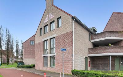 Zwerfkei 82
