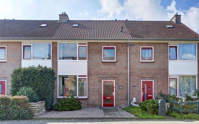 Tulpstraat 43