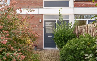Lindeboom 29