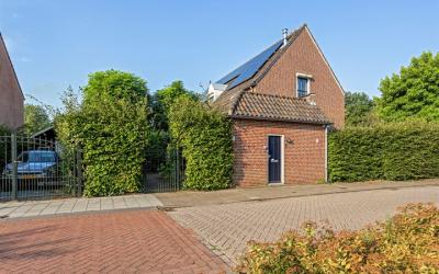 Schutterspl. 8