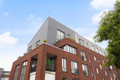 Zomertaling 21