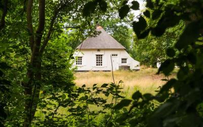 Sleedoornweg 8
