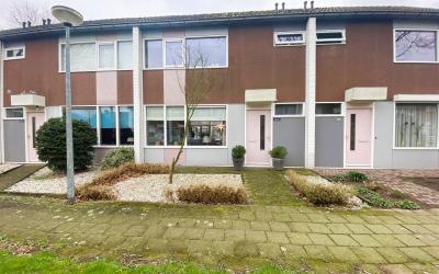Heilige Stoel 4604