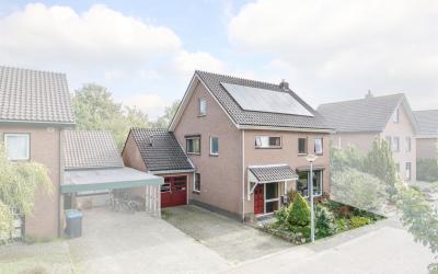 Homberg 3615
