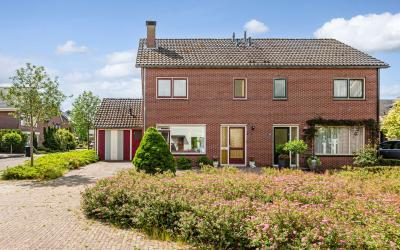Homberg 3612