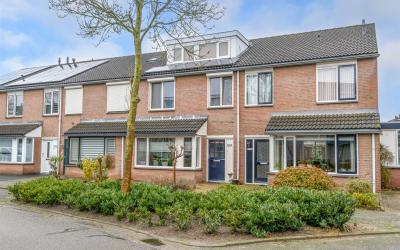 Hoogmeer 1919