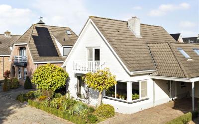 den Bogerd 35