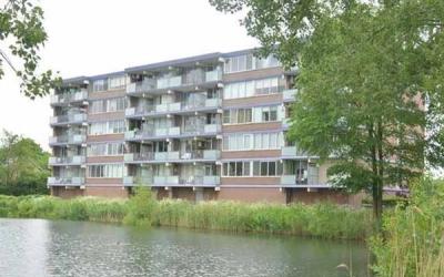 Heuvel 91