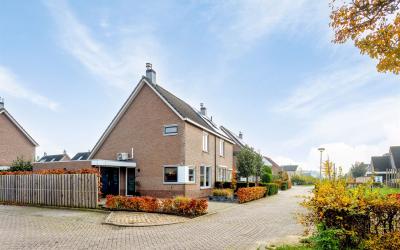 Vliervoetpad 15