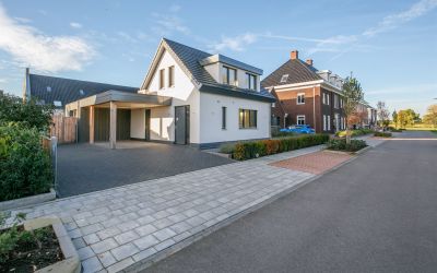 Koolzaadveld 13