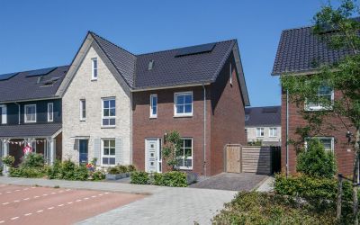 Koolzaadveld 67