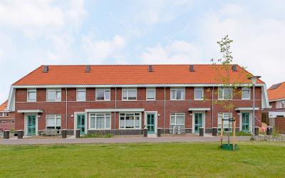 Leeuw 7