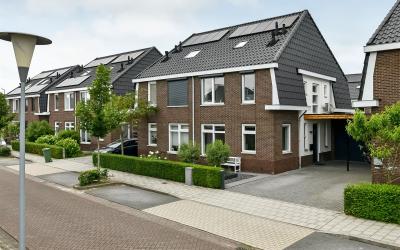 Schorpioen 11