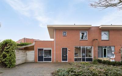 Goudreinet 13
