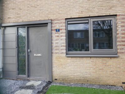 Olmlaan 7