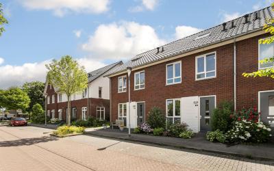 Fluweelboom. 24