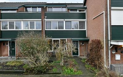 Rijnstraat 55