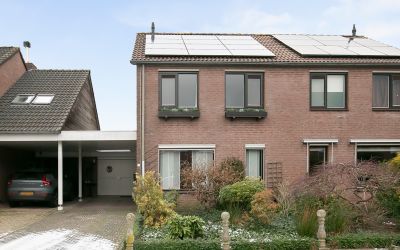 Reuvekampst. 11
