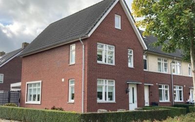 Paardenbloem 38