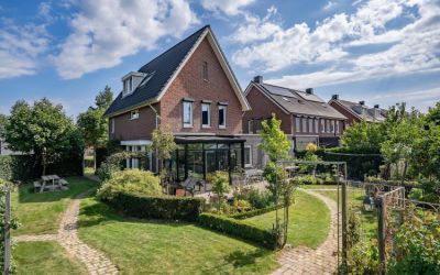 Paardenbloem 58