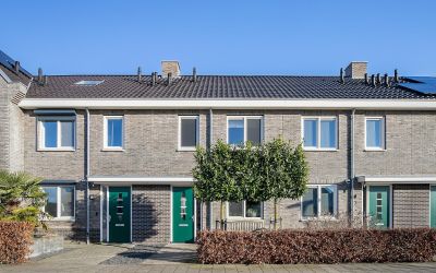 Zinkviooltje 5