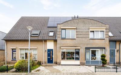 De Windroos 40