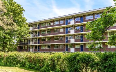 Thorbeckest. 288