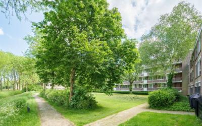 Thorbeckest. 362