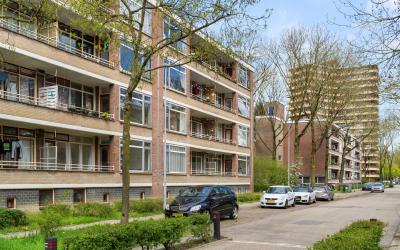Thorbeckest. 366