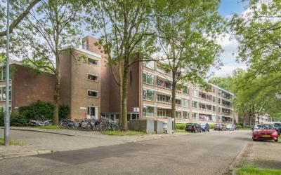 Thorbeckestraat 506