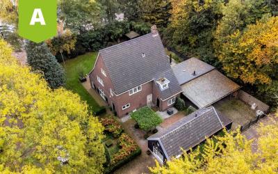Groen van P. 1