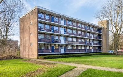 Groen van P. 35