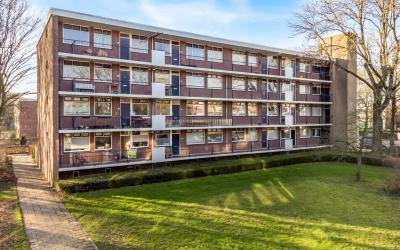 Groen van P. 45