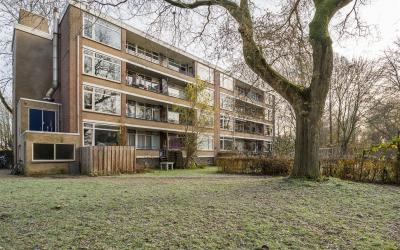 Groen van P. 49