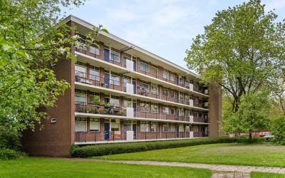 Groen van P. 55