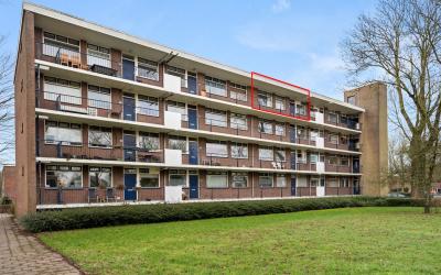 Groen van P. 63