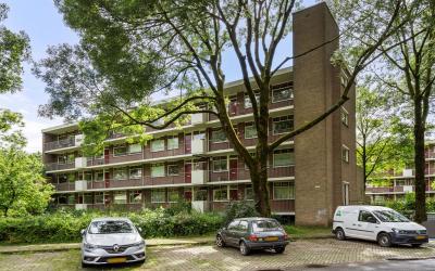 Groen van P. 67