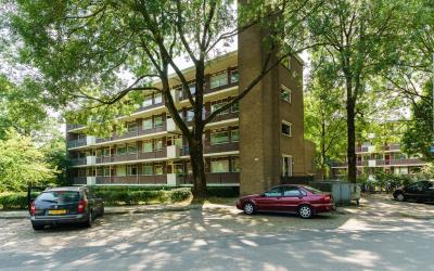 Groen van P. 77