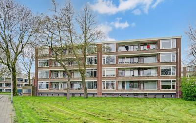 Groen van P. 119
