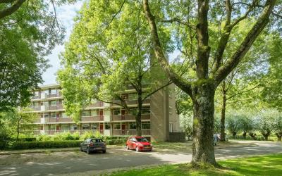 Groen van P. 127