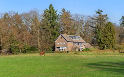 Buissteeg 19